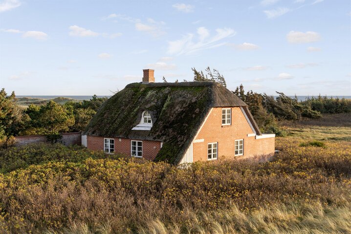 Ferienhaus 60681 in Fyrvej 55, Blåvand - Bild #38