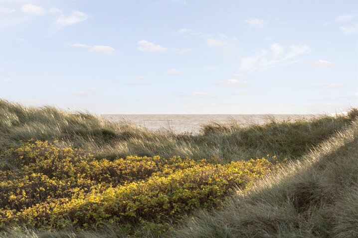 Ferienhaus 60681 in Fyrvej 55, Blåvand - Bild #40