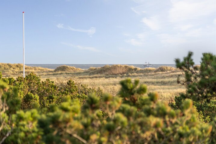 Ferienhaus 60681 in Fyrvej 55, Blåvand - Bild #41