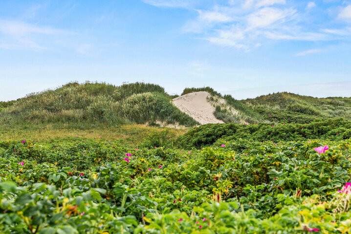 Sommerhus 60681 på Fyrvej 55, Blåvand - Billede #35