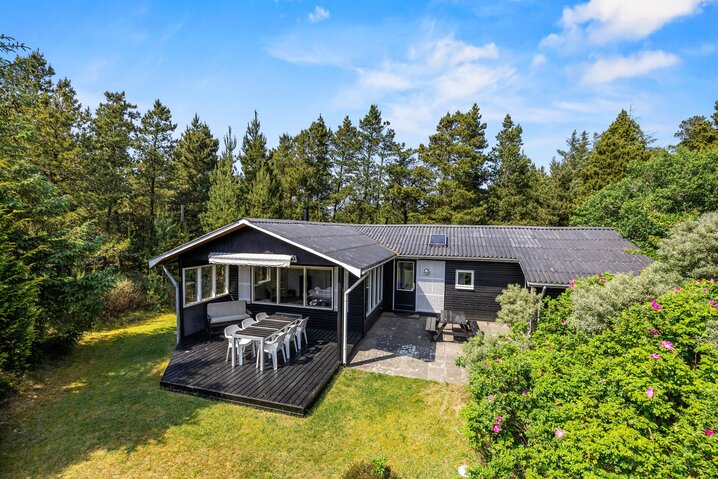 Ferienhaus 60687 in Møllehusvej 38, Blåvand - Bild #0