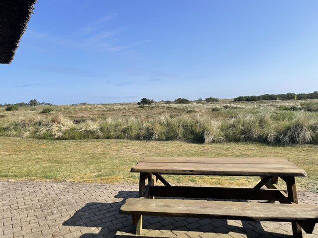 Ferienhaus 60691 in Hedetoftvej 91, Blåvand - Bild #23