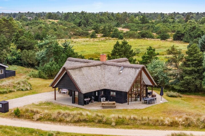 Ferienhaus 60691 in Hedetoftvej 91, Blåvand - Bild #26