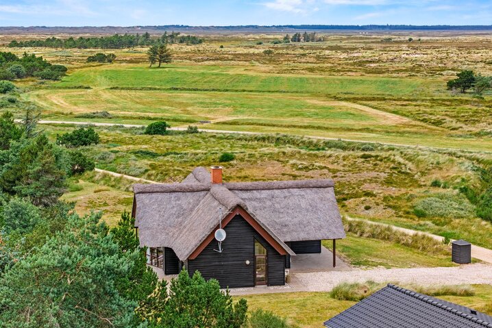 Ferienhaus 60691 in Hedetoftvej 91, Blåvand - Bild #45