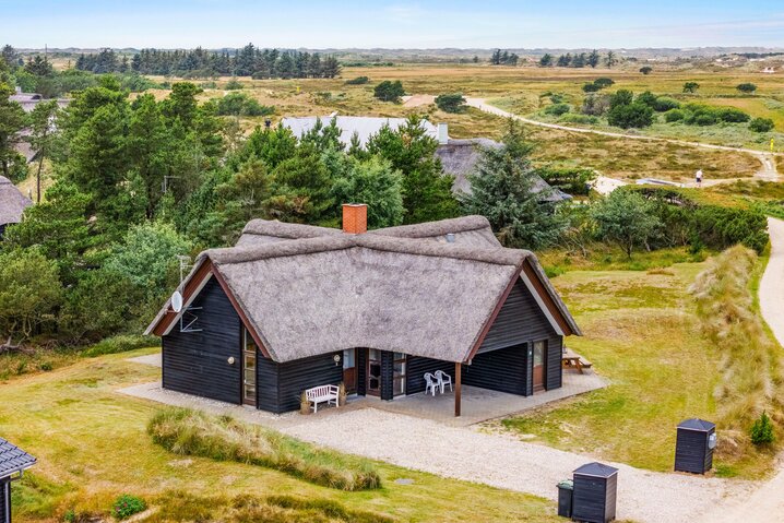 Ferienhaus 60691 in Hedetoftvej 91, Blåvand - Bild #48