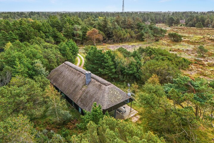 Sommerhus 60703 på Vestermarken 22, Blåvand - Billede #28
