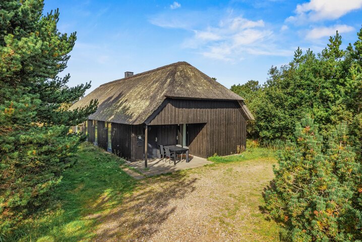 Sommerhus 60703 på Vestermarken 22, Blåvand - Billede #29