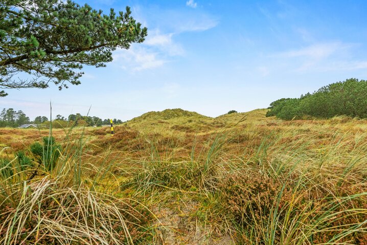 Sommerhus 60707 på Hedetoftvej 138, Blåvand - Billede #40