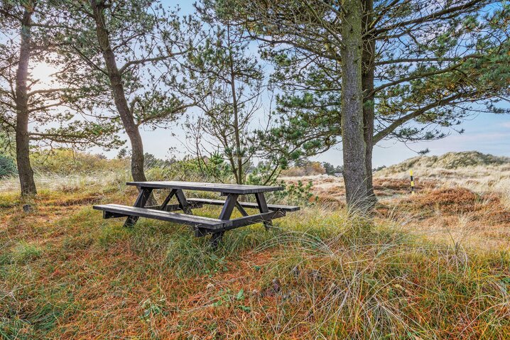 Sommerhus 60707 på Hedetoftvej 138, Blåvand - Billede #50