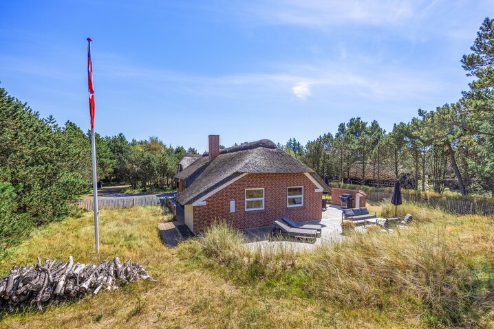 Sommerhus 60707 på Hedetoftvej 138, Blåvand - Billede #49