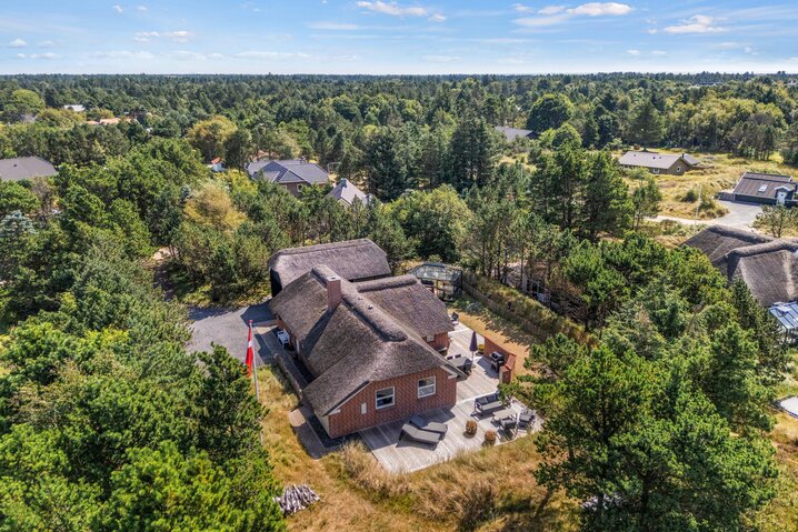 Sommerhus 60707 på Hedetoftvej 138, Blåvand - Billede #54