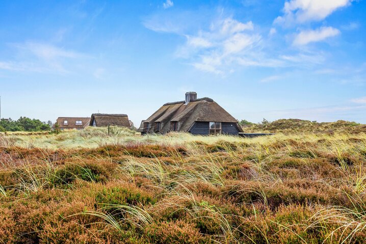 Ferienhaus 60709 in Horns Rev 57, Blåvand - Bild #24
