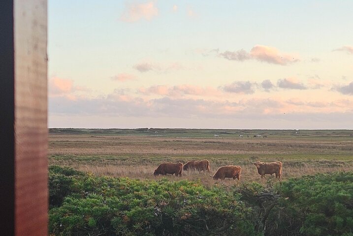 Ferienhaus 60710 in Grønningen 4, Blåvand - Bild #26
