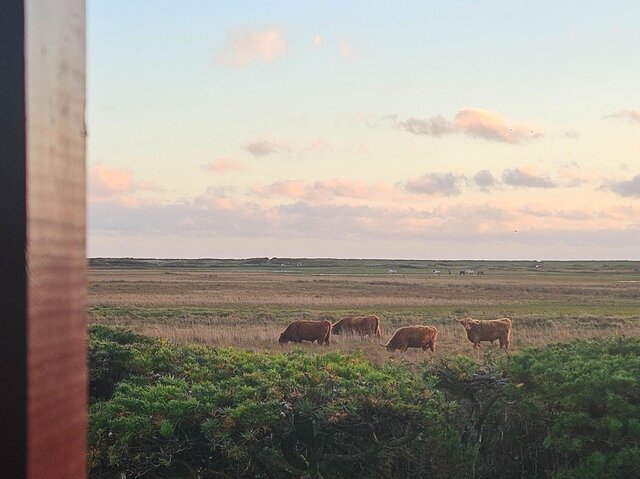 Ferienhaus 60710 in Grønningen 4, Blåvand - Bild #26