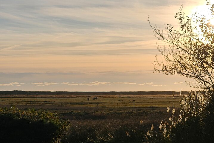 Ferienhaus 60710 in Grønningen 4, Blåvand - Bild #27