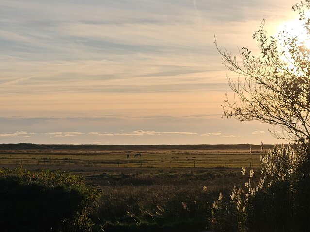 Ferienhaus 60710 in Grønningen 4, Blåvand - Bild #27