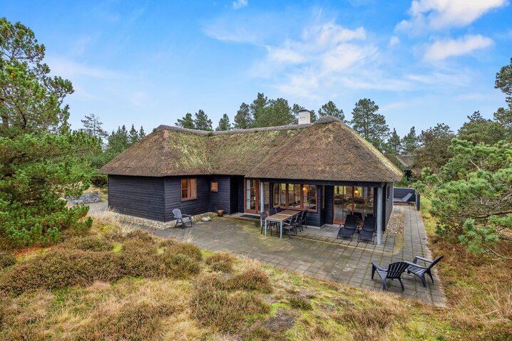 Ferienhaus 60717 in Sandageren 12, Blåvand - Bild #0