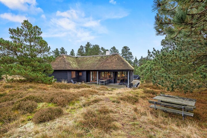 Ferienhaus 60717 in Sandageren 12, Blåvand - Bild #35