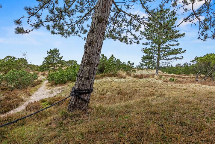 Ferienhaus 60717 in Sandageren 12, Blåvand - Bild #36