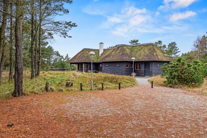 Ferienhaus 60717 in Sandageren 12, Blåvand - Bild #41