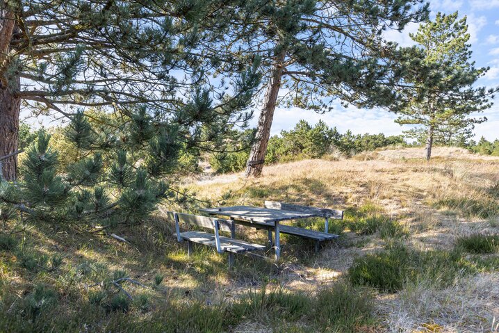 Holiday home 60717 at Sandageren 12, Blåvand - Picture #40