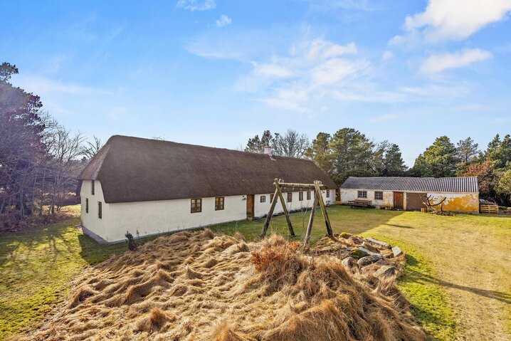 Ferienhaus 60724 in Hedetoftvej 89, Blåvand - Bild #0