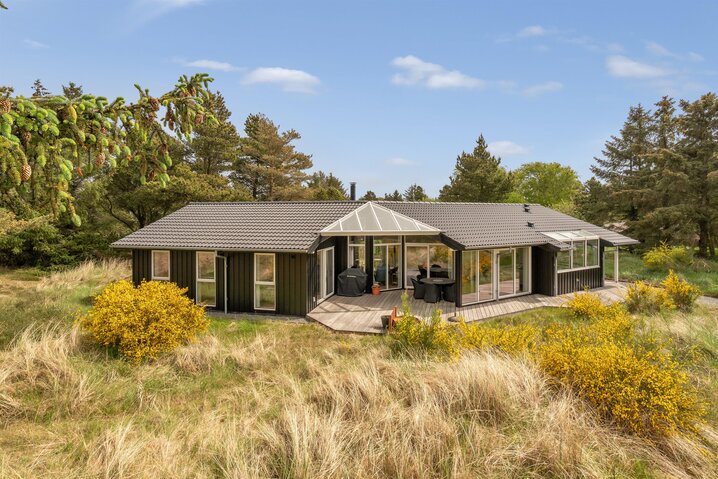 Ferienhaus 60726 in Hedetoftvej 76, Blåvand - Bild #0