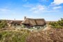Ferienhaus 60727 in Horns Rev 83, Blåvand - Bild #1