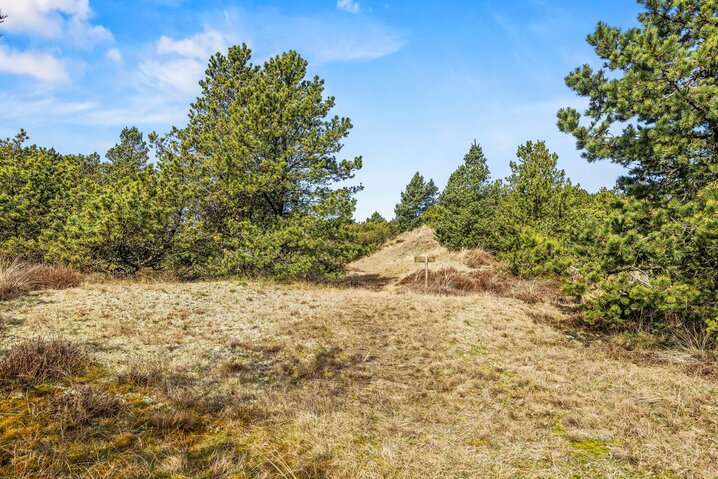Ferienhaus 60732 in Kallesmærskvej 9, Blåvand - Bild #47