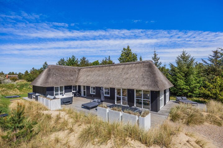Holiday home 60736 at Møllehusvej 41C, Blåvand - Picture #0