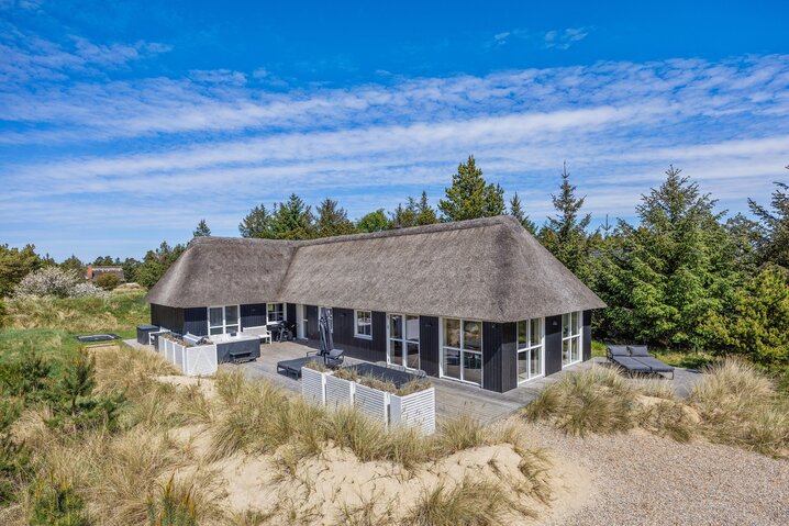Holiday home 60736 at Møllehusvej 41C, Blåvand - Picture #27