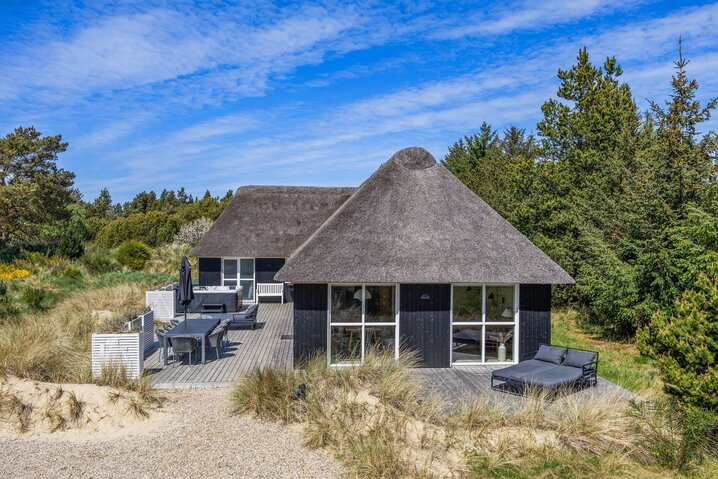 Holiday home 60736 at Møllehusvej 41C, Blåvand - Picture #28