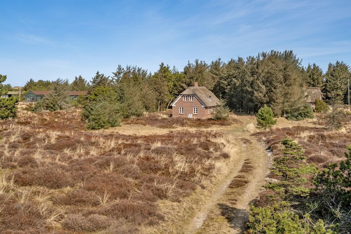 Ferienhaus 60757 in Sydslugen 1A, Blåvand - Bild #0
