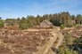 Ferienhaus 60757 in Sydslugen 1A, Blåvand - Bild #1