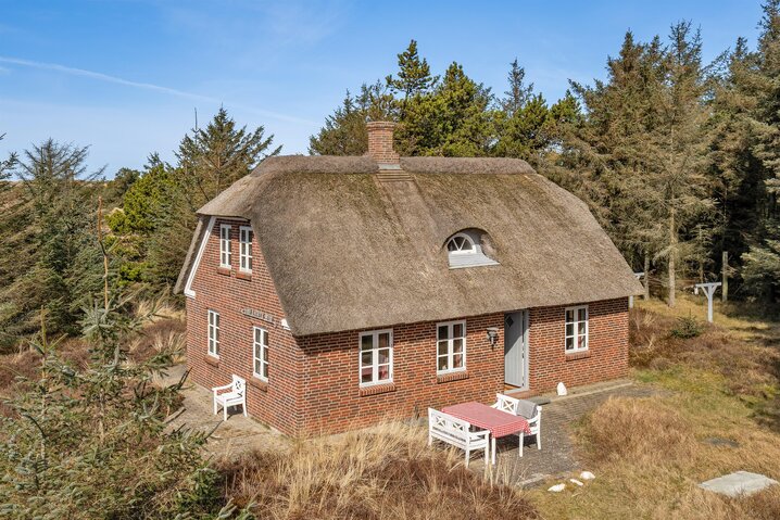 Ferienhaus 60757 in Sydslugen 1A, Blåvand - Bild #1