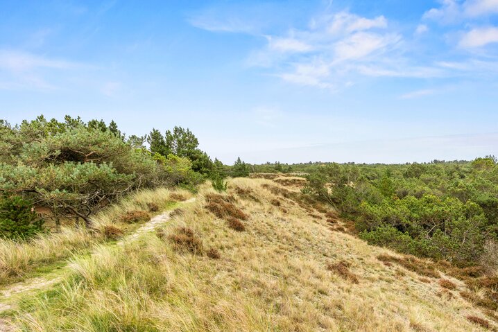 Ferienhaus 60762 in Nordkrogen 23D, Blåvand - Bild #70