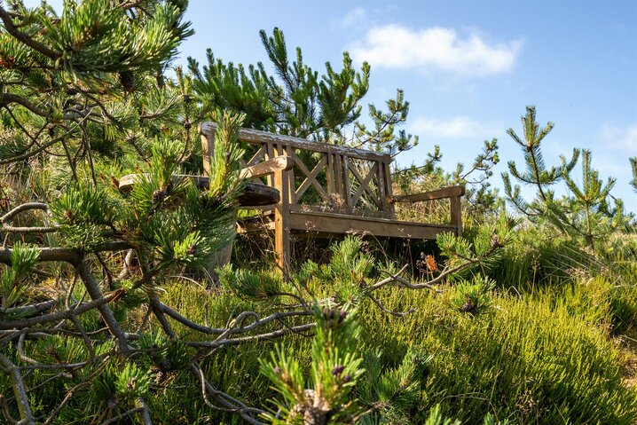 Sommerhus 60766 på Vestermarken 18, Blåvand - Billede #32