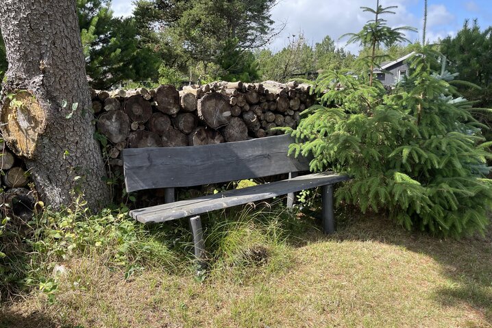 Sommerhus 60767 på Karl Postsvej 12, Blåvand - Billede #27