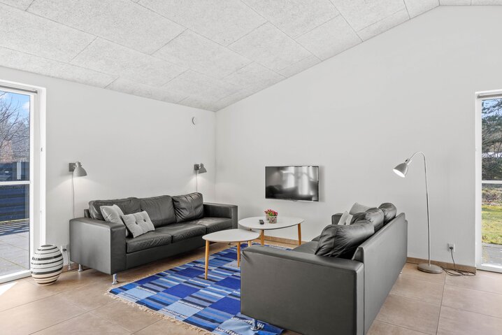 Ferienhaus 61005 in Toldervej 17, Ho - Bild #1