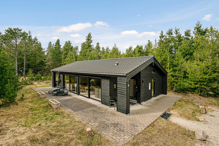 Ferienhaus 61015 in Hedevej 25, Ho - Bild #0