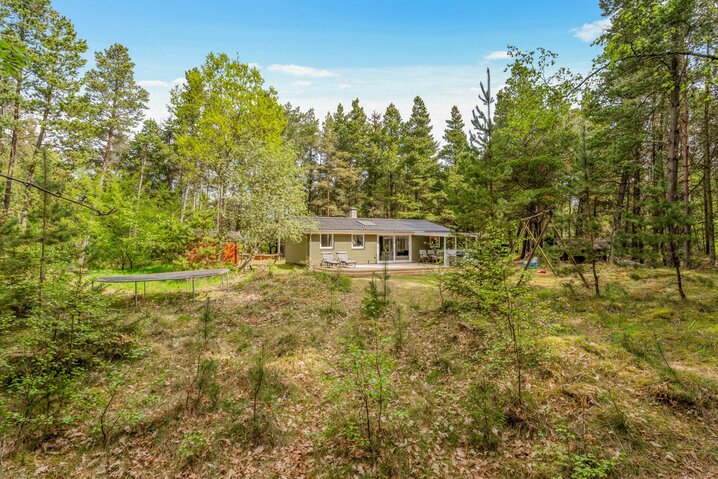 Ferienhaus 61020 in Fyrrevænget 10, Ho - Bild #0