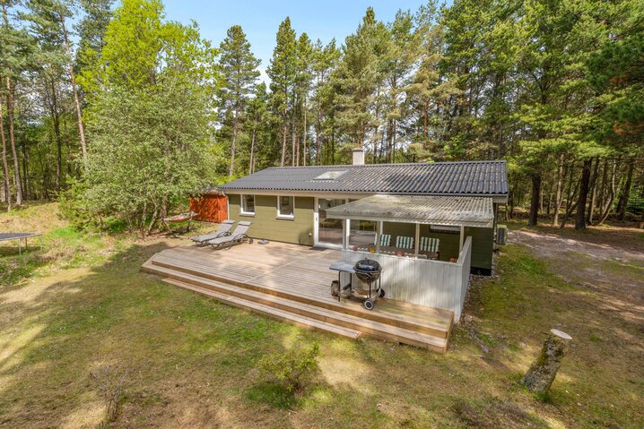 Ferienhaus 61020 in Fyrrevænget 10, Ho - Bild #21