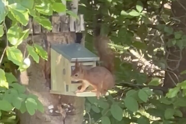 Ferienhaus 61023 in Vestervænget 17, Ho - Bild #41