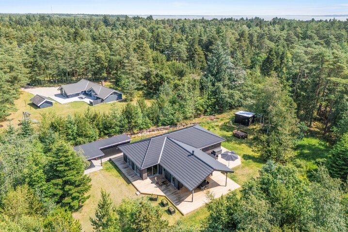Ferienhaus 61023 in Vestervænget 17, Ho - Bild #43