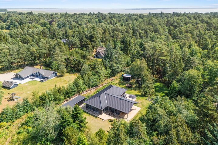 Ferienhaus 61023 in Vestervænget 17, Ho - Bild #44