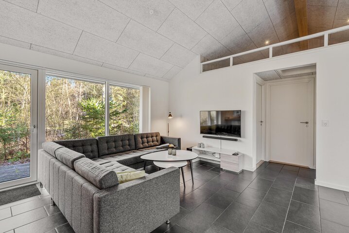 Ferienhaus 61036 in Nørballevej 16, Ho - Bild #1