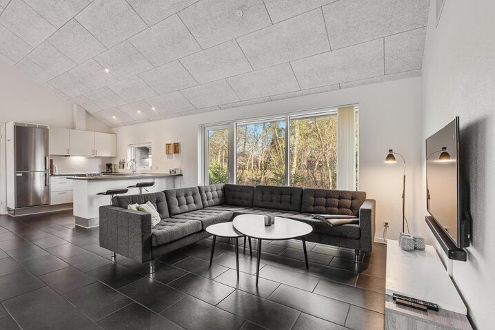 Ferienhaus 61036 in Nørballevej 16, Ho - Bild #3
