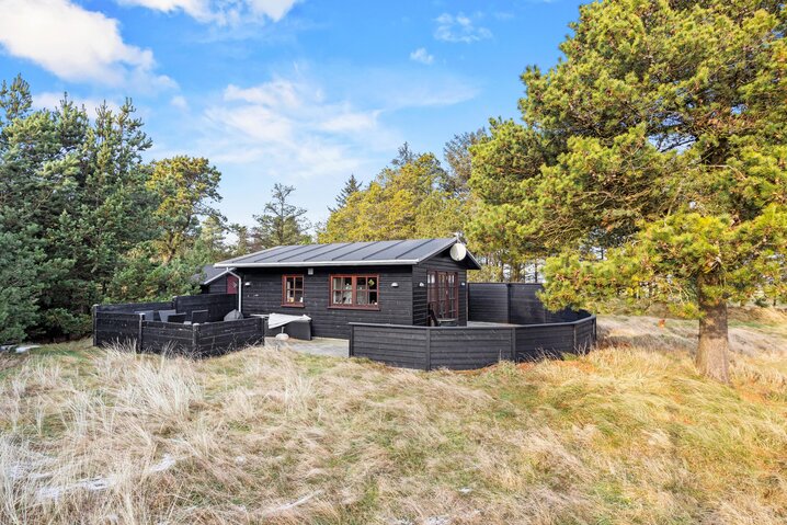 Ferienhaus 61055 in Sønderballevej 10, Ho - Bild #0