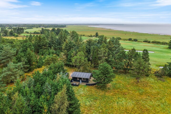Ferienhaus 61055 in Sønderballevej 10, Ho - Bild #0