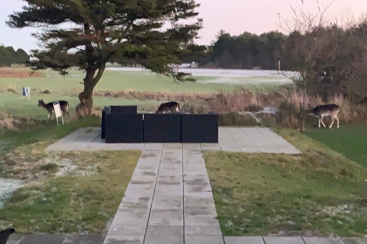 Sommerhus 61075 på Søndertoften 15, Ho - Billede #36